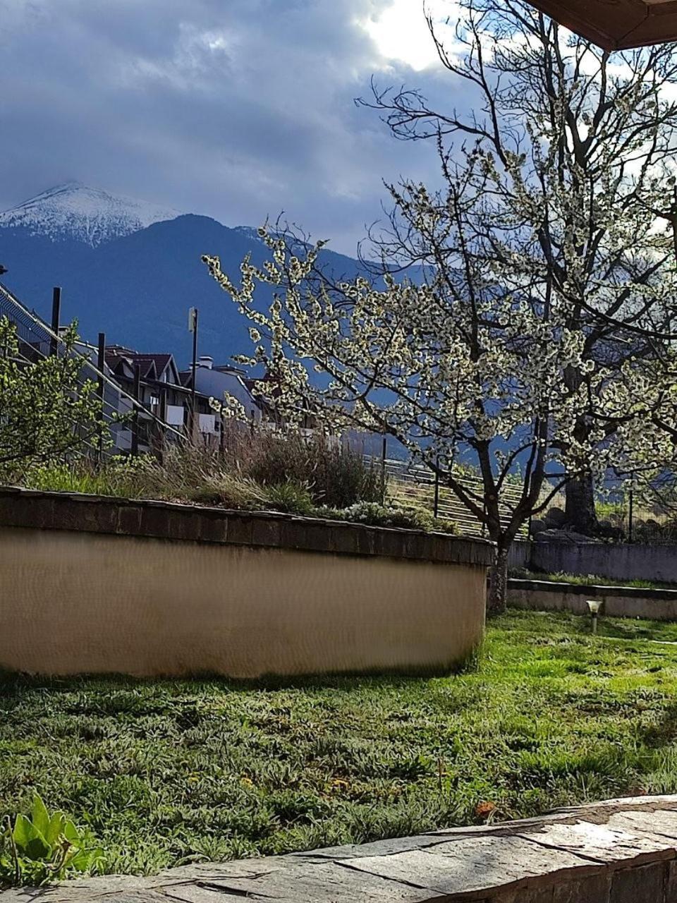 Belvedere Club Spa&ski Private * Bansko